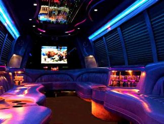 18 passenger party bus rental Orlando